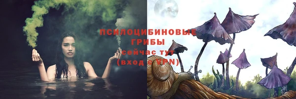 гашиш Бородино