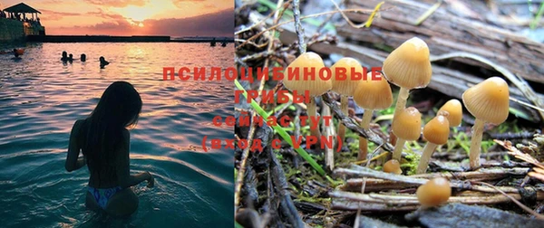 первитин Вяземский